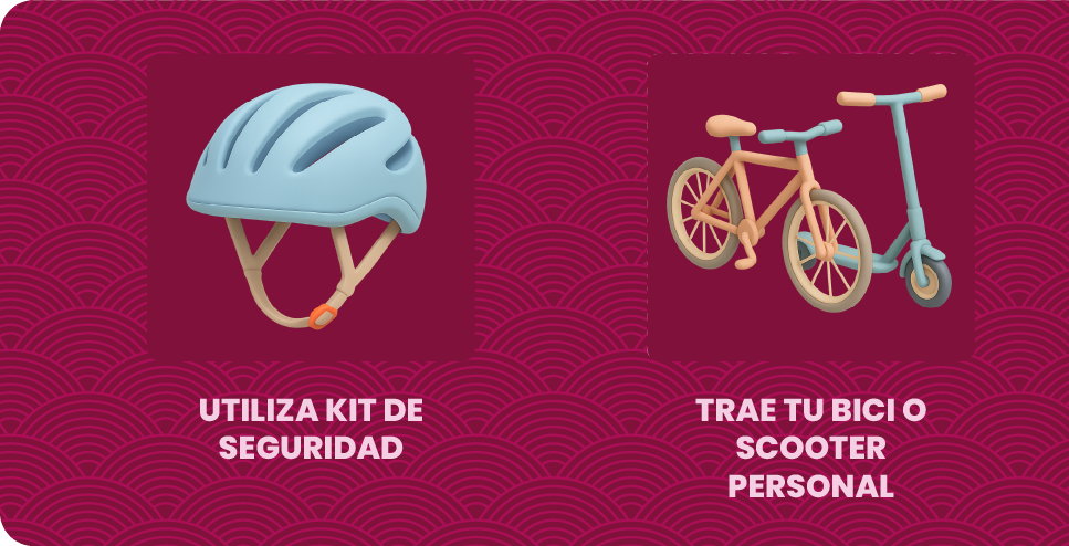 Recomendaciones 1