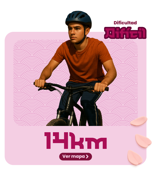 14 KM